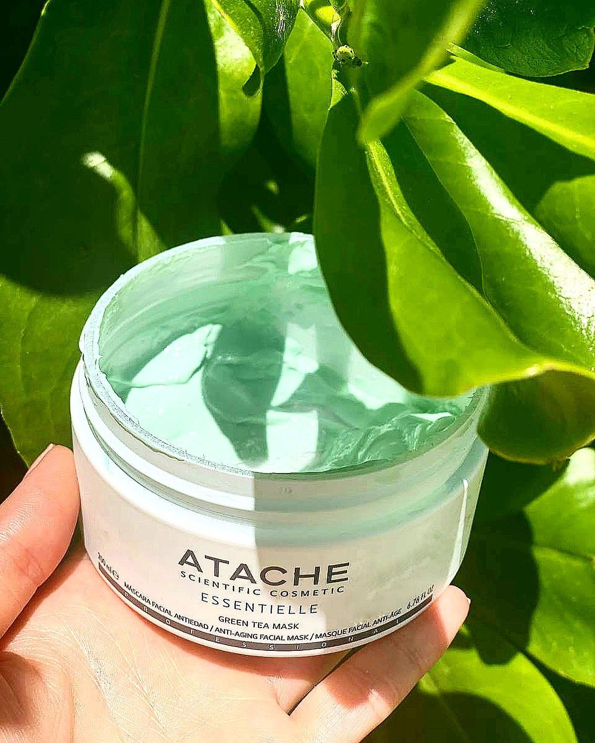 Atache Essentiale Green Tea Mask in Vienna, Austria, shipping to Germany, Czech, Italy, France, Belgium, Netherlands, EU