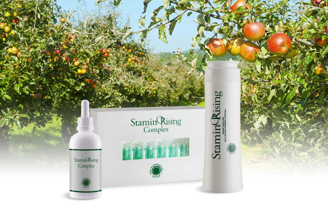 ORising StaminOrising