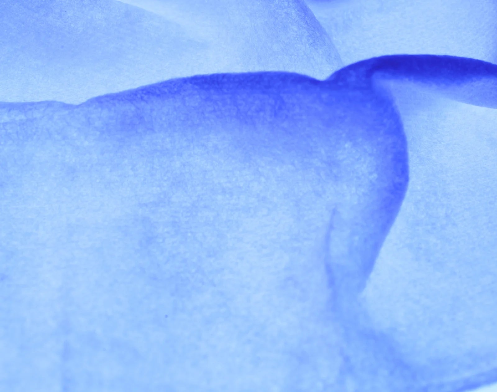 iS Clinical Active Peel System